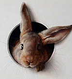 realism art by Marina Dieul